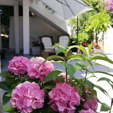 Apartments Poretti For 2,In Center Parking Free In The Yard,6 Min Beach Walk Rovinj Zewnętrze zdjęcie