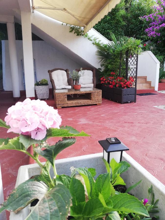 Apartments Poretti For 2,In Center Parking Free In The Yard,6 Min Beach Walk Rovinj Zewnętrze zdjęcie