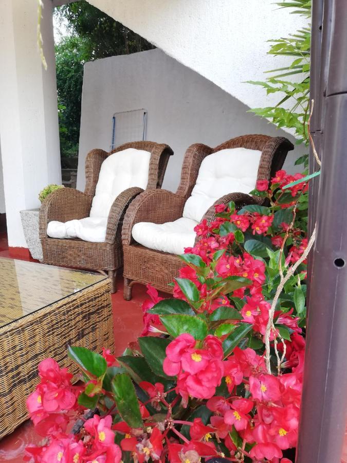 Apartments Poretti For 2,In Center Parking Free In The Yard,6 Min Beach Walk Rovinj Zewnętrze zdjęcie
