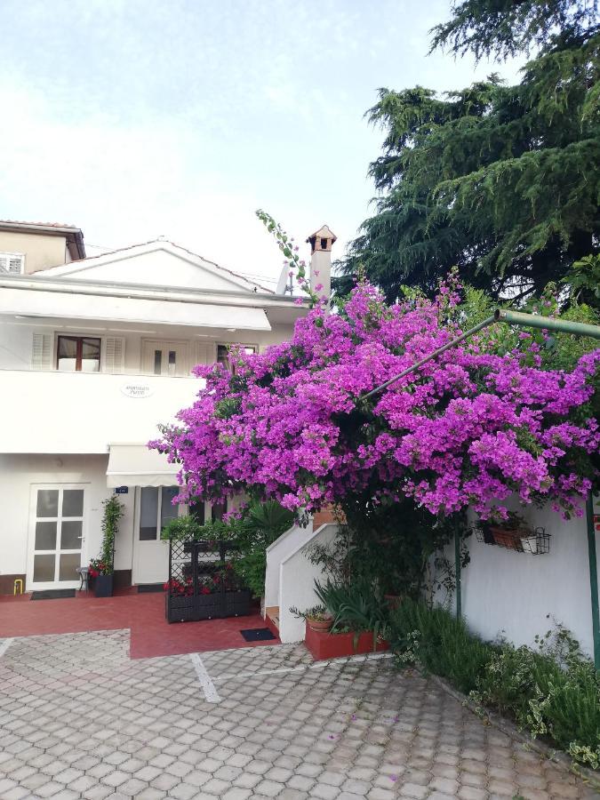 Apartments Poretti For 2,In Center Parking Free In The Yard,6 Min Beach Walk Rovinj Zewnętrze zdjęcie