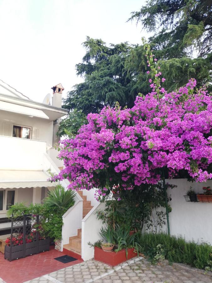 Apartments Poretti For 2,In Center Parking Free In The Yard,6 Min Beach Walk Rovinj Zewnętrze zdjęcie
