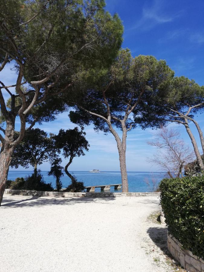 Apartments Poretti For 2,In Center Parking Free In The Yard,6 Min Beach Walk Rovinj Zewnętrze zdjęcie