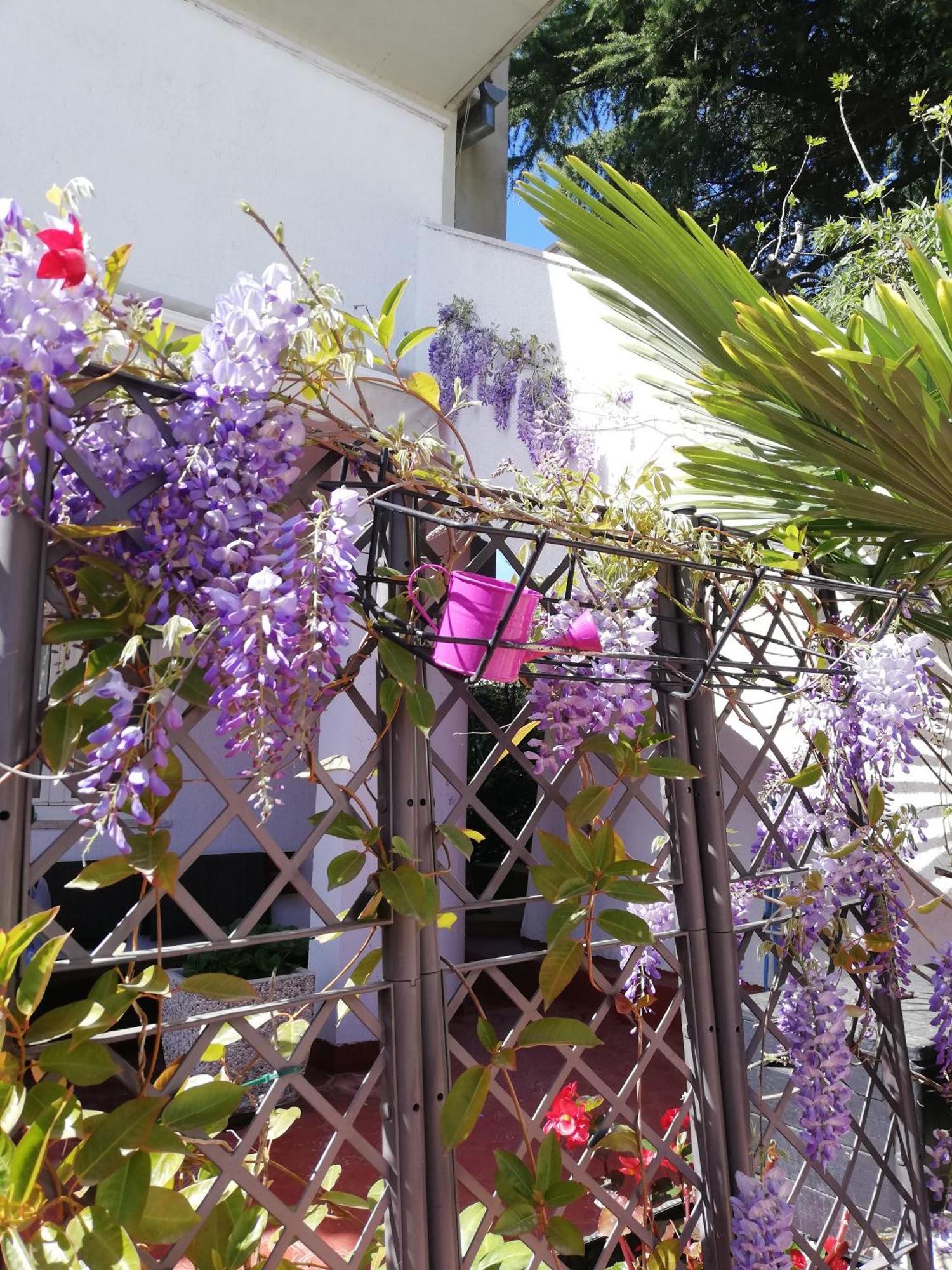 Apartments Poretti For 2,In Center Parking Free In The Yard,6 Min Beach Walk Rovinj Zewnętrze zdjęcie