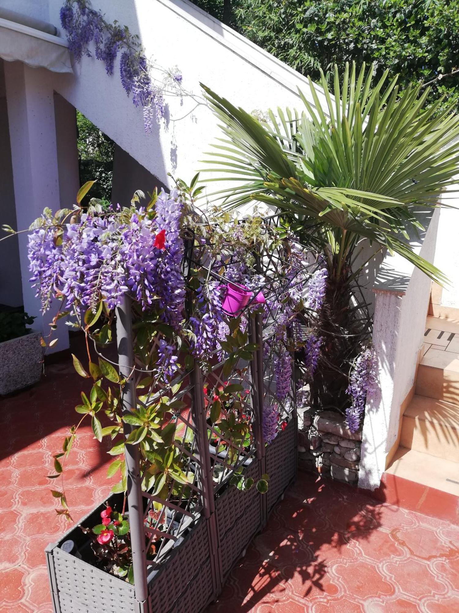 Apartments Poretti For 2,In Center Parking Free In The Yard,6 Min Beach Walk Rovinj Zewnętrze zdjęcie