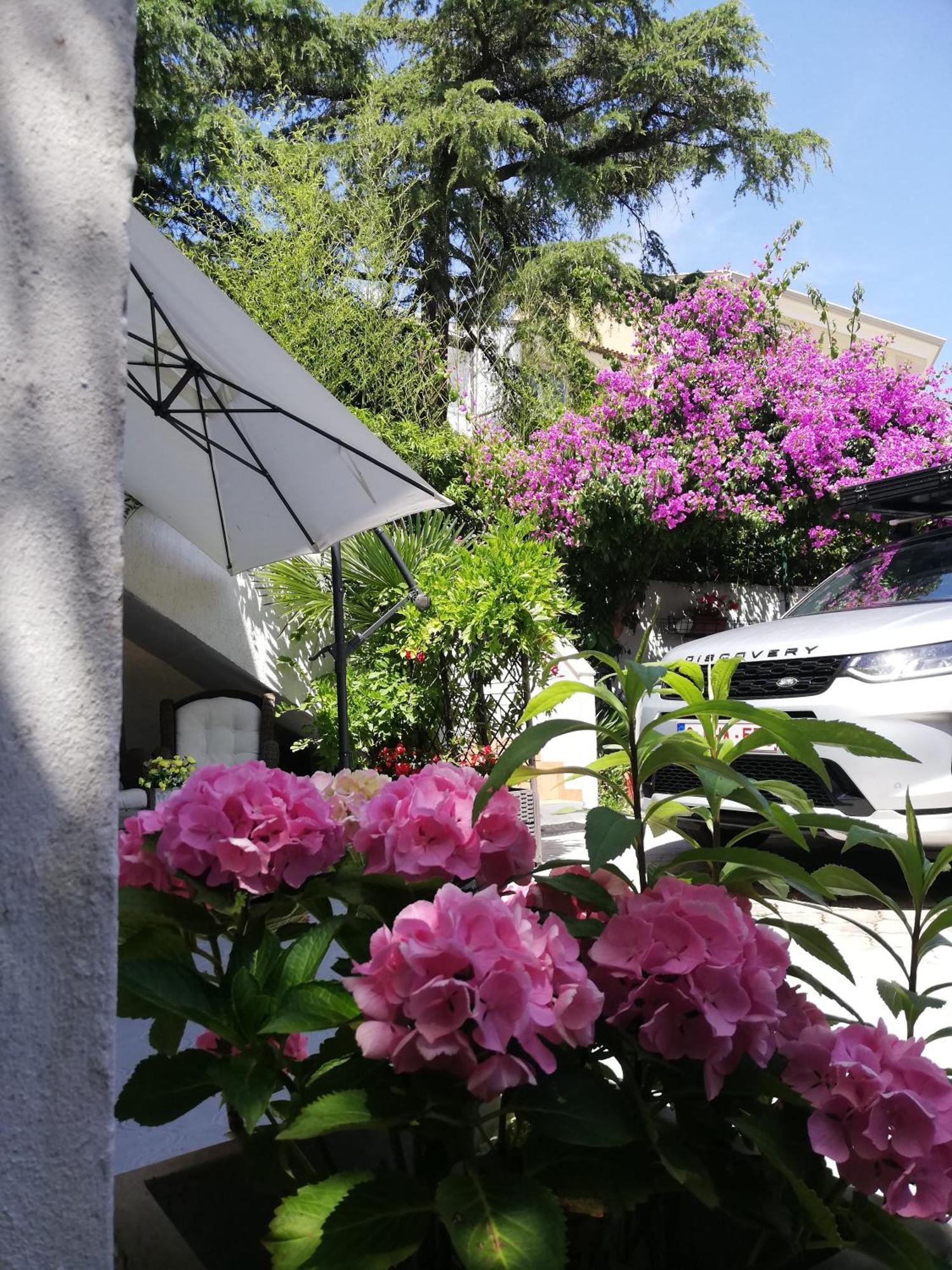 Apartments Poretti For 2,In Center Parking Free In The Yard,6 Min Beach Walk Rovinj Zewnętrze zdjęcie